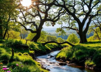 inspiration from nature