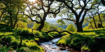 inspiration from nature