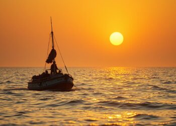 stories of survival at sea